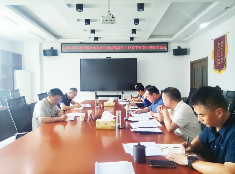 队党委召开树立和践行正确政绩观学习教育案例剖析思想交流会