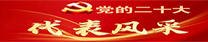 党的二十大代表风采