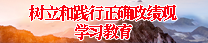 树立和践行正确政绩观学习教育